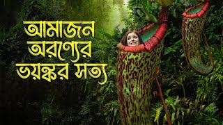 আমাজনের মানুষ খেকো গাছ ! | আমাজন জঙ্গলের ভয়ঙ্কর সত্য | Amazon Forest Most Dangerous Trees