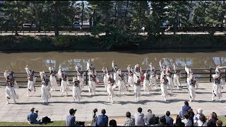 【４K】東京よさこい なな丸隊★YOSAKOIそうか2024/ウォーターフロント会場/1回目/2024.11.03/DJI POCKET3