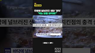 바닥에 널브러진 생닭들…치킨 프랜차이즈 위생 상태 '충격' / KNN