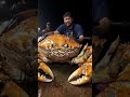 big crab caught fishing pacificocean pacific deepsea ai deepocean crab