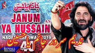 Jaanam Ya Hussain | Haider E Karar | Nadeem Sarwar best Noha collection#Azadari