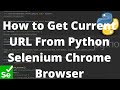 Python Selenium Tutorial #7 - How to Get Current URL From Python Selenium Chrome Browser