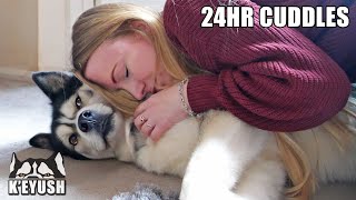 Hugging My Husky Every Time I See Him for 24 Hours!