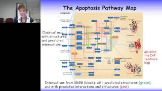 Ruth Nussinov - Structural Pathways of Cancer