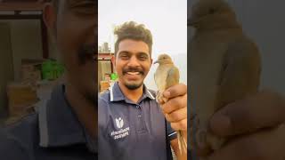 Part 1 as pakshiude name enthanuu ennu parau guys 🥰🥰🥰 #birds #foryou #foryoupage #viralvideo #fy