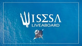 Wisesa liveaboard  Snorkeling cruises -  Cruising Raja Ampat