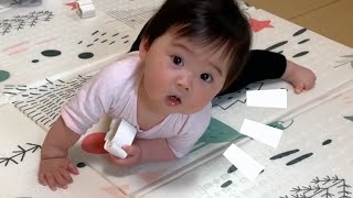 【生後268日】ぎこちないずり這いがかわいい！習得したてのずり這いを一生懸命がんばる生後8ヶ月の赤ちゃんに癒される (Day 268. Ponu slithering!)