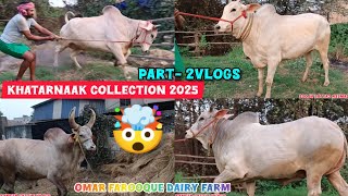 Omar Farooque dairy farm Part-2 Vlogs Biggest Aggressive Kankarej Ox🤯 \u0026 Biggest Cows Collection 2025