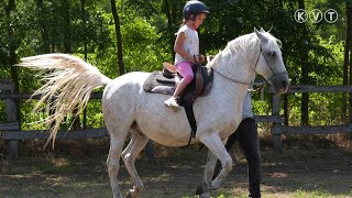 KISKUNMAJSA: TANYASI ÉLET, LOVAGLÁS, ÍJÁSZAT ÉS SOK-SOK ÉLMÉNY A NOMÁD NAPKÖZIS TÁBORBAN