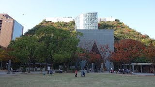 Autumn Acros Fukuoka - 秋のアクロス福岡