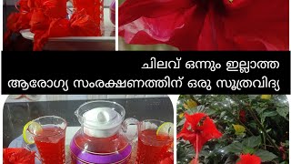 ചെമ്പരത്തിപ്പൂ കൊണ്ടൊരു energy drink |Xerox entertains |malayalayam |cooking |energy drink