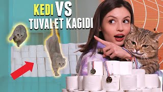 TUVALET KAĞIDI VS KEDİLERİM! (Evde Kedi Olimpiyatları)