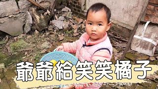 【光頭女婿】兩歲寶寶給孤寡老人送包子，老人給孩子送的啥，開心的向奶奶炫耀