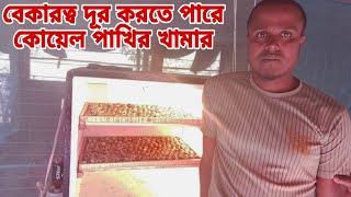 বাড়ির ছাদে কোয়েল পাখির খামার করে  আবেদুর রহমান এখন হিরো।