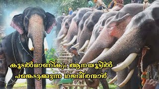 KOODALMANIKYAM AANAYOOTTU 2022 PARTICIPATING ELEPHANTS LIST | കൂടൽമാണിക്യം ക്ഷേത്രത്തിലെ ആനയൂട്ട്