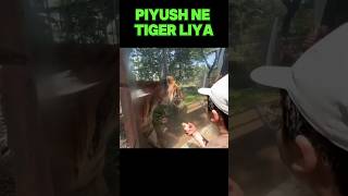 tiger piyush #sorvjoshivlogs #sorts #growth