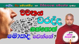 වචනය වරද්ද ගත්තොත් මොකද වෙන්නේ? (සද්ධා, සීල සම්පත්තිය සහ විජ්ජාචරණ සම්පන්න ගුණය)