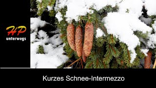 Kurzes Schnee-Intermezzo