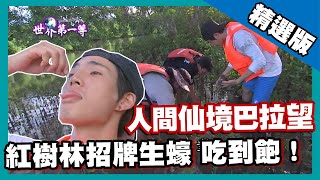 【菲律賓】人間仙境巴拉望 紅樹林特有種生蠔現抓現吃（海灣夜市在地美味便宜吃）｜《世界第一等》689集精華版