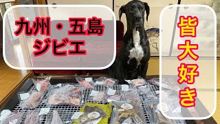 九州・五島ジビエ😍届きました❤️ 大好物です‼️ 大型犬 超大型犬 ニューファンドランド ボス君 グレートデン クィーンちゃん 渡辺ボス 多頭飼い 鹿肉 ジャーキー 骨 ジビエ