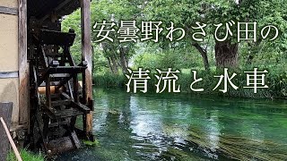 安曇野わさび田の清流と水車 / 残しておきたい原風景 / Original scenery with water wheels