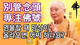 염불할 때 망상(잡념)이 올라오면 어찌 하나요? _정공 상인 법문(송미영 번역/ 자항 더빙)