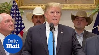 Trump announces the $16B farm aid package amidst trade war