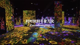 EPSON teamLab无界美术馆：teamLab Borderless shanghai, 时时刻刻千变万化 / Ever-Changing