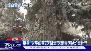 幸運! 太平山連2天降雪 太陽灑落夢幻雪世界｜TVBS新聞