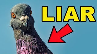 Birds Aren't Real | The Documentary Part 1