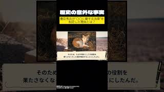 「豊臣秀吉が“猫に関する法律”を制定した理由とは？（1596）」#歴史の意外な事実