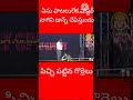 పిచ్చి పట్టిన గొర్రెలు