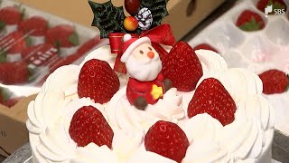 クリスマスケーキ平均価格\