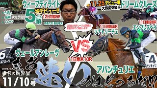 【椎チャンネル】椎名の馬部屋_11/9撮影_近況報告