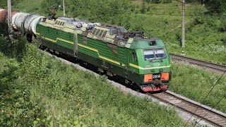 Trains video. Trains on the railway St. Petersburg - Kuznechnoye. Russia. June 2021.