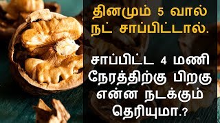 தினமும் 5 வால் நட் சாப்பிடுவதால்  கிடைக்கும் நன்மைகள் | Tamil Health Tips - Tamil Info