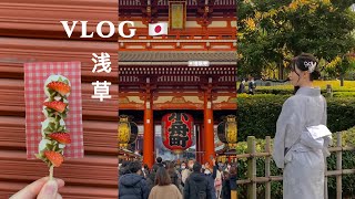 TOKYO VLOG |浅草一日遊👘🍡 淺草寺 日本お祭り 鷲神社酉の市⛩🍁