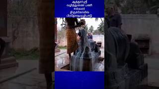 ஆத்தூர் ஸ்ரீ வழித்துணை பனீஸ்வரர் கோவில் பிரதோஷ வழிபாடு