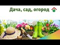 Какой купить торфяной туалет для дачи – советы по выбору торфяного биотуалета. Торфяной биотуалет