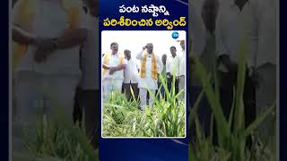 MP Aravind Visit Crop Fields | పంట నష్టాన్ని పరిశీలించిన అర్వింద్ | ZEE Telugu News