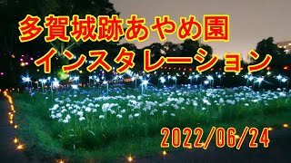 多賀城跡あやめ園　光のインスタレーション 2022/06/24