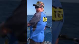 Three Kings Yellow Fin Marlin and Tuna Frenzy! #marlin #yellowfintuna #threekings #fishing