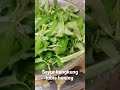 #shorts tumis sayur kangkung sepesial bening