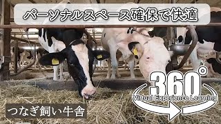 【360°】酪農研修牧場　つなぎ飼い牛舎 ｜ 北海道別海町　農業