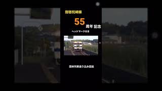 (再)指宿枕崎線55周年記念団臨　送り込み回送　宮ケ浜駅通過