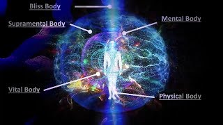 The 5 Bodies of Consciousness - Quantum University