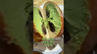 제주 말차 생크림 폭탄 단팥빵