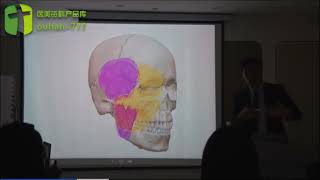 4: 面部主要肌肉、血管、脂肪分布 | 4: Distribution of Major Facial Muscles, Blood Vessels, and Fat Compartments