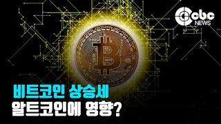 [코인Talk] 비트코인 상승세 알트코인에 영향? | CBC뉴스