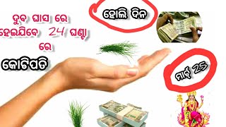 ଦୁବ ଘାସ ରେ କୋଟିପତି, ଏହି ହଲି ଦିନ କରନ୍ତୁ ଏହି ଉପାୟ,  ଶୀଘ୍ର ହେବ ଧନ  ପ୍ରାପ୍ତି ଇର୍ଷା ରେ ଜାଳିବେ ଲୋକ 🌾